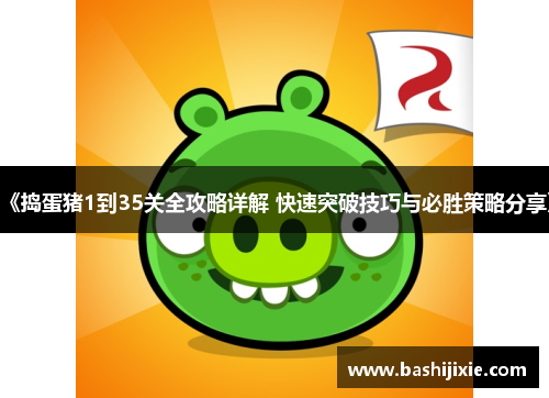 《捣蛋猪1到35关全攻略详解 快速突破技巧与必胜策略分享》