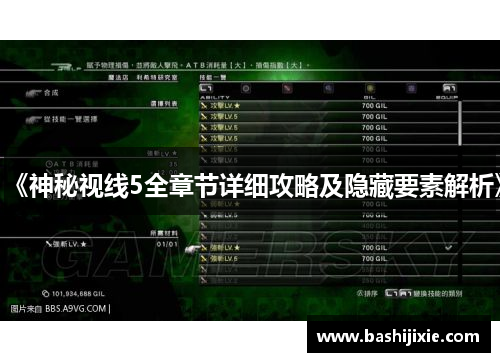 《神秘视线5全章节详细攻略及隐藏要素解析》